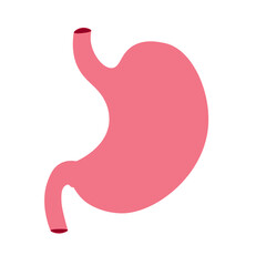 Stomach icon. Human internal organs symbol. Digestive system anatomy.