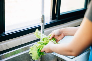 Woman's hands washing assorted vegetables in a sink with running water creating a vegan salad in a...