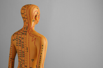 Acupuncture model. Mannequin with dots and lines on grey background, space for text