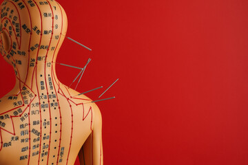 Acupuncture - alternative medicine. Human model with needles in head and shoulder on red...