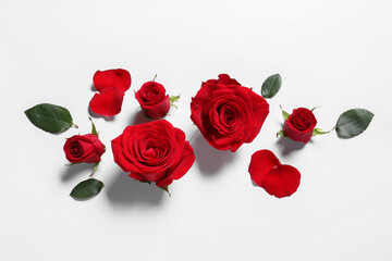 Beautiful red roses and petals on white background, flat lay