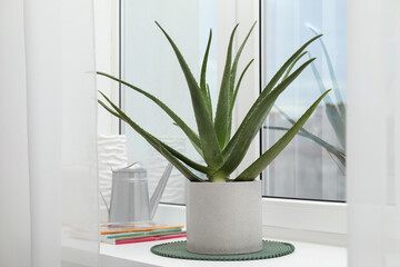 Beautiful potted aloe vera plant, watering can and magazines on windowsill indoors