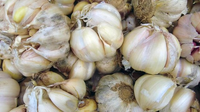 garlic on market
