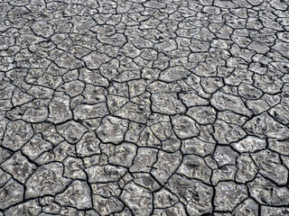 Dried out cracked mud pattern in grey color