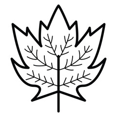 Leaf icon design, illustration design