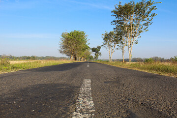 A road on countryside among the rice field and trees, clear blue sky background
