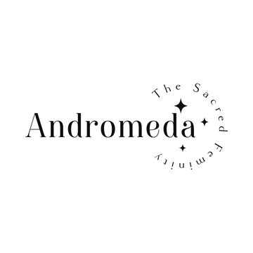 Stellar Star Logo Andromeda Minimal Concept. Black Option. Variant-04