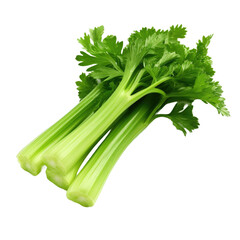 Celery isolated on white or transparent background