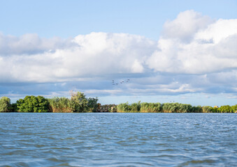 Birds flying in v formation above lake