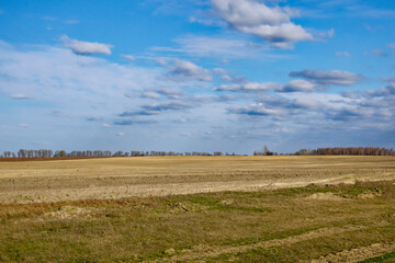 Obraz premium A photo of a field with a forest in the background and a blue sky with white clouds.