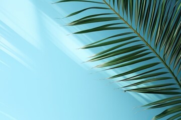 Empty palm with shadow blue color texture pattern cement wall background. Used for presentation business nature organic cosmetic products for sale shop online. Summer tropical beach with minimal 