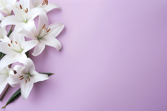 white lines on a gently lilac background