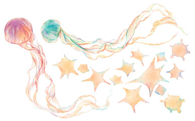 Watercolor jellyfish and star shaped sand collection