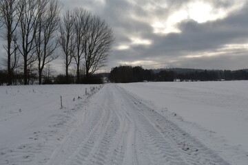 Obraz premium fields forerst in winter germany hessia