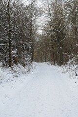 Nature photography in winter in Hesse Werra Meißner Kreis