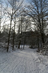 Nature photography in winter in Hesse Werra Meißner Kreis
