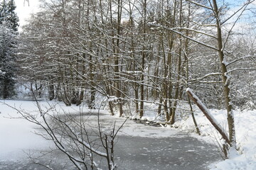 Nature photography in winter in Hesse Werra Meißner Kreis