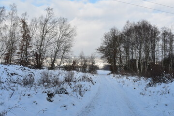 Fototapeta na wymiar fields and forest in winter germany hessia