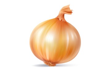 Fresh onion bulb isolated