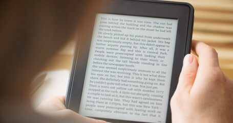 Woman reading an ebook on a reader with an e-ink display - 691055527