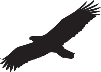 Obraz premium eagle silhouette eps vector