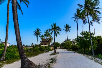 Cercles muraux Plage de Nungwi, Tanzanie Road to beach at the Matemwe village at Zanzibar island, Tanzania