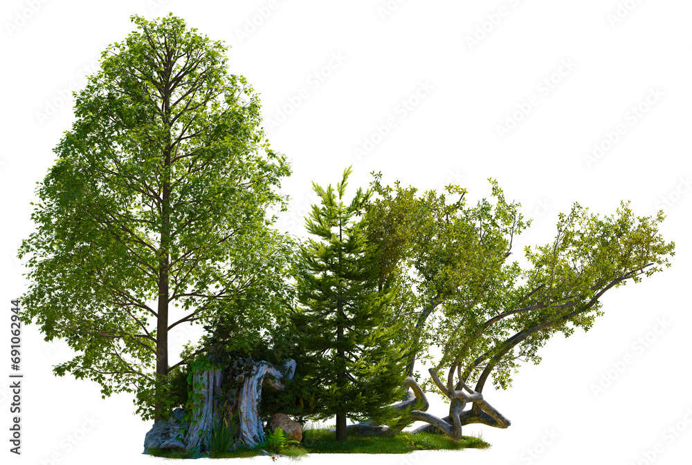 Poster tree group small land with tree png transparent, 3d illustration rendering
