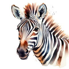 Portrait of zebra on white, watercolor illustration created with generative AI technologies. Logotype design