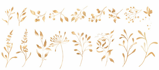 Golden floral  set. Hand drawn illustration isolated on transparent  background