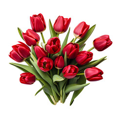 Red tulips on transparent background PNG for project decoration.
