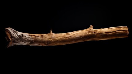 Fototapeta premium Dry tree branch on a black background isolated.