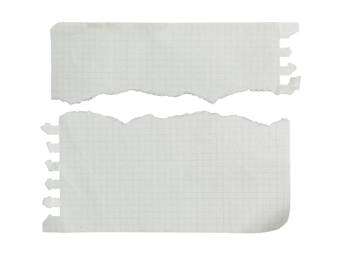 Torn ring notebook paper