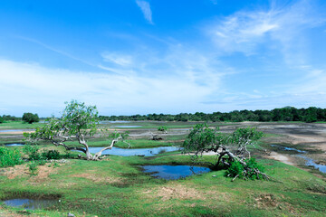 Safari in Sri Lanka National Park