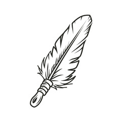 feather isolated on white background, feather pen drawing, quill vector, black and white, feather vector illustration, bird feather, vector illustration, feather pen vector