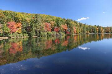 autumn trees reflected in lake