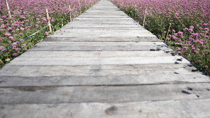 Obraz premium wooden pathway with pink flowers