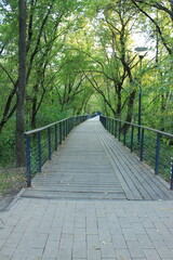 A pedestrian wooden bridge in the park. Russia.