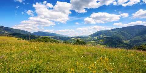 mountainous carpathian countryside scenery with grassy meadows. beautiful rolling landscape in summer with stunning sky and fluffy clouds. view in to the distant rural valley from a green hill