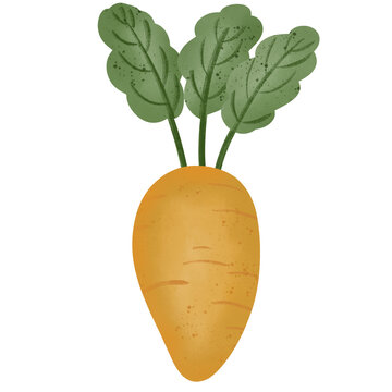Cartoon carrots are yellow vegetables and fruits that contain vitamins.