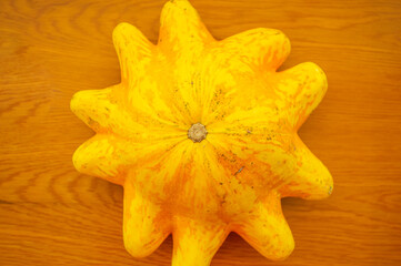 Yellow Turban turkish squash pumpkin that resembles a star or an octopus. Also known as Giraumon...