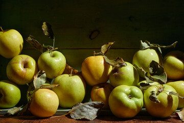 Ripe organic grown apples with leaves in wooden box in bright sunlight with copyspace. Natural fruit from garden concept image.