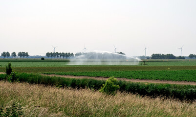 sprinkler system growing irrigation pond rural meadow Netherlands Holland