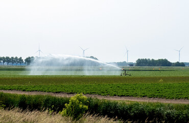 sprinkler system growing irrigation pond rural meadow Netherlands Holland