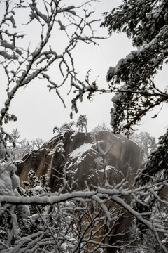 Snowy cliff