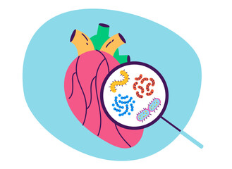 Heart organ cardiology diagnostic concept. Vector design graphic illustration