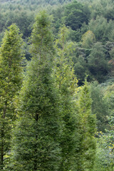 Fototapeta premium Scenery of the mountain scape in late summer
