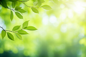 Fototapeta na wymiar Spring background, green tree leaves on blurred background, texture background.