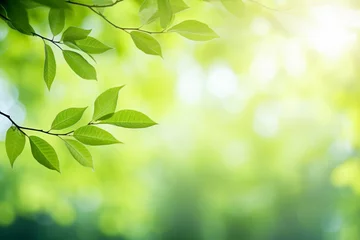 Poster Spring background, green tree leaves on blurred background, texture background. © Hunman