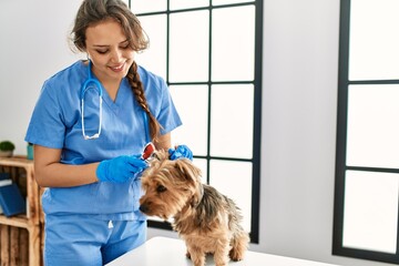 Young beautiful hispanic woman veterinarian examining dog with otoscope at home