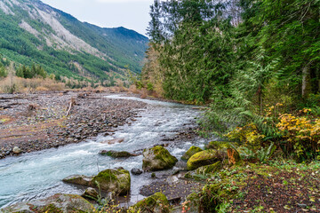 Carbon River Landscape